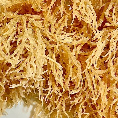 Dried Irish Sea Moss